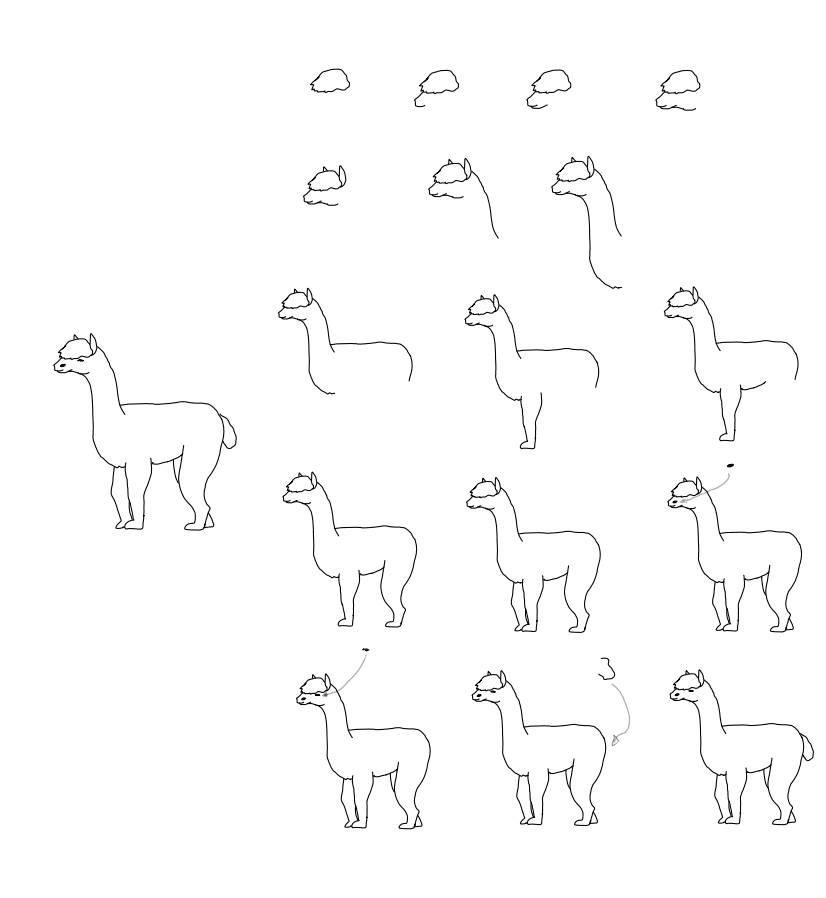 Tiere zeichnen Alpaka