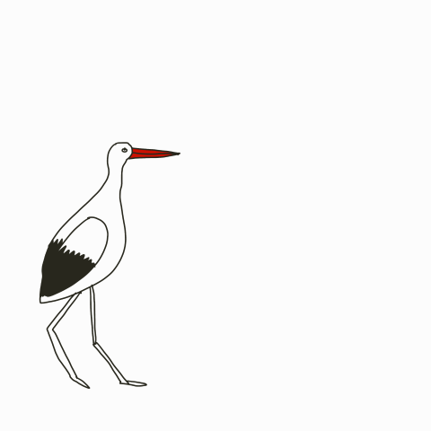 Animation Storch