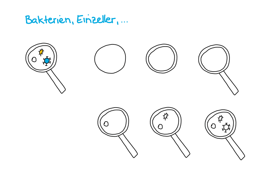 Bakterien und Einzeller