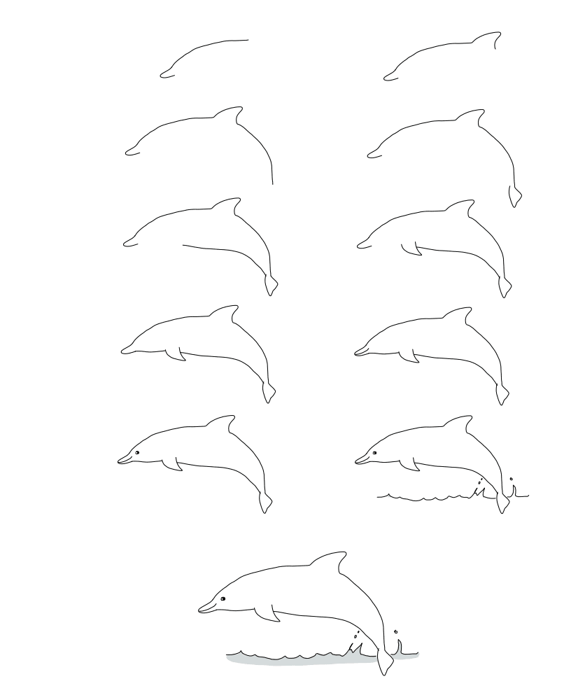 Tiere zeichnen Delfin