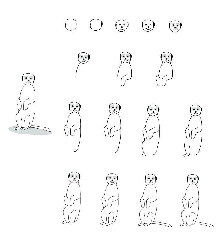 Tiere zeichnen Erdmännchen