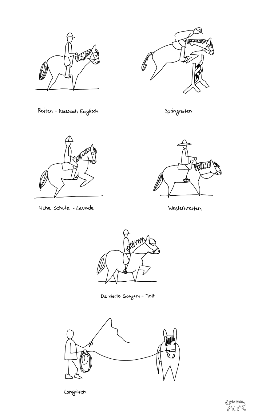 Sketchnote mit Pferden und den unterschiedlichen Reitstilen