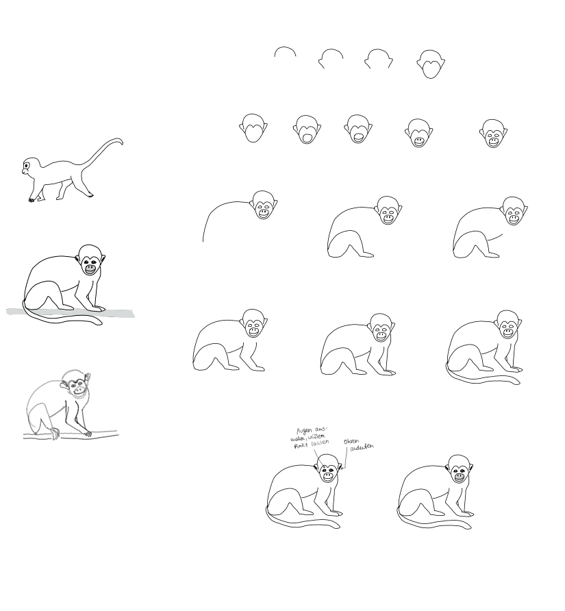 Tiere zeichnen Totenkopfaffe